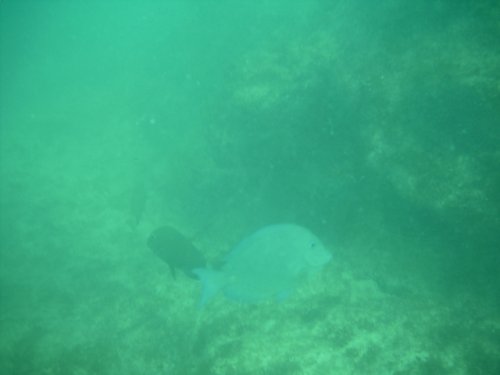 IMAG0010